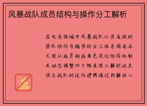 风暴战队成员结构与操作分工解析